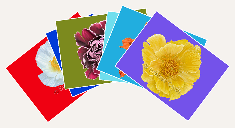 Complete Set of 6 Greeting Cards