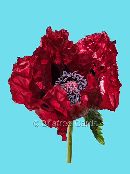Poppy on Light Blue